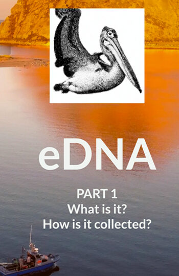 eDNA web image